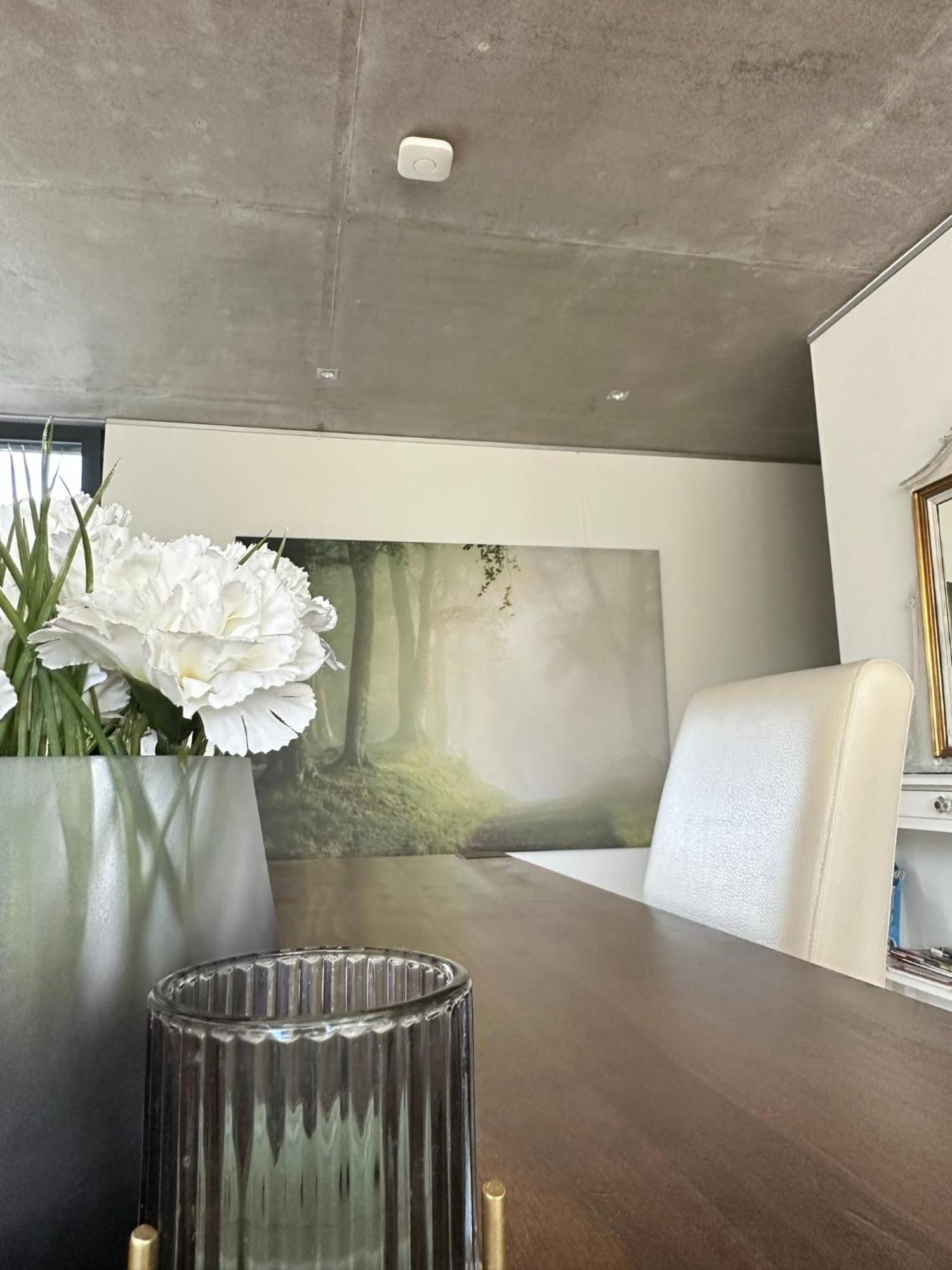 Vicas Ferienwohnung Kappel-Grafenhausen Extérieur photo
